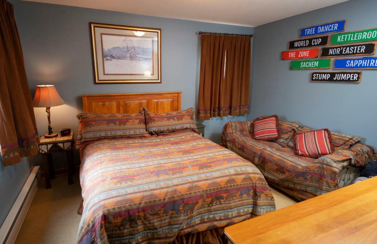 Okemo Mountain Lodging Ладлоу Екстер'єр фото